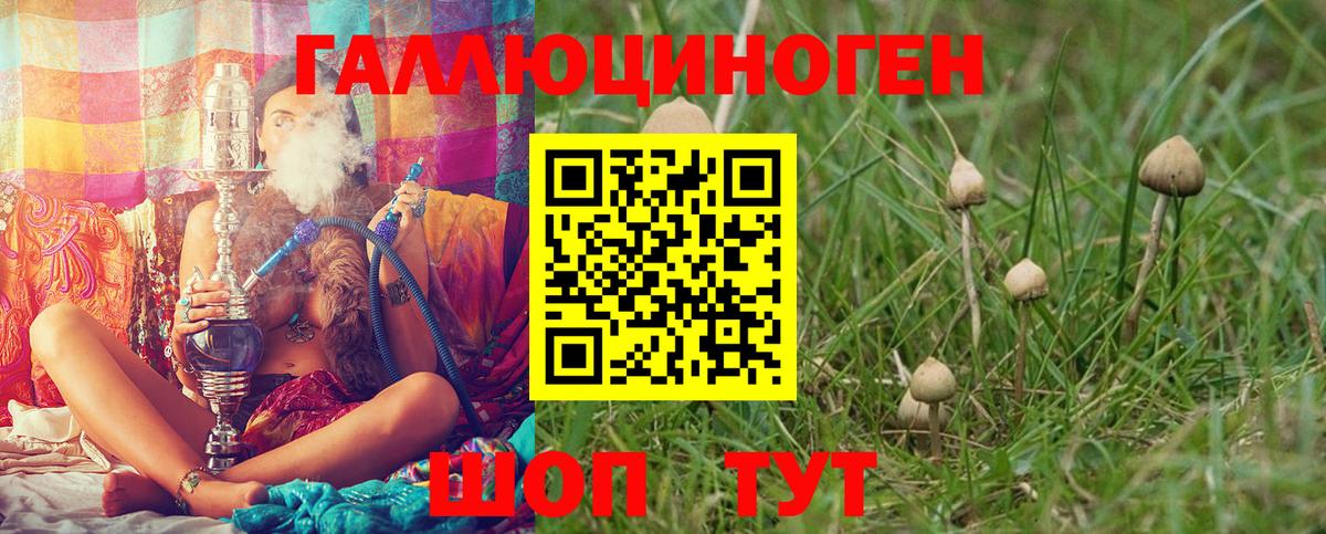 Ахтубинск  Галлюциногенные грибы прущие грибы  Псилоцибиновые грибы прущие грибы  Вход с VPN 